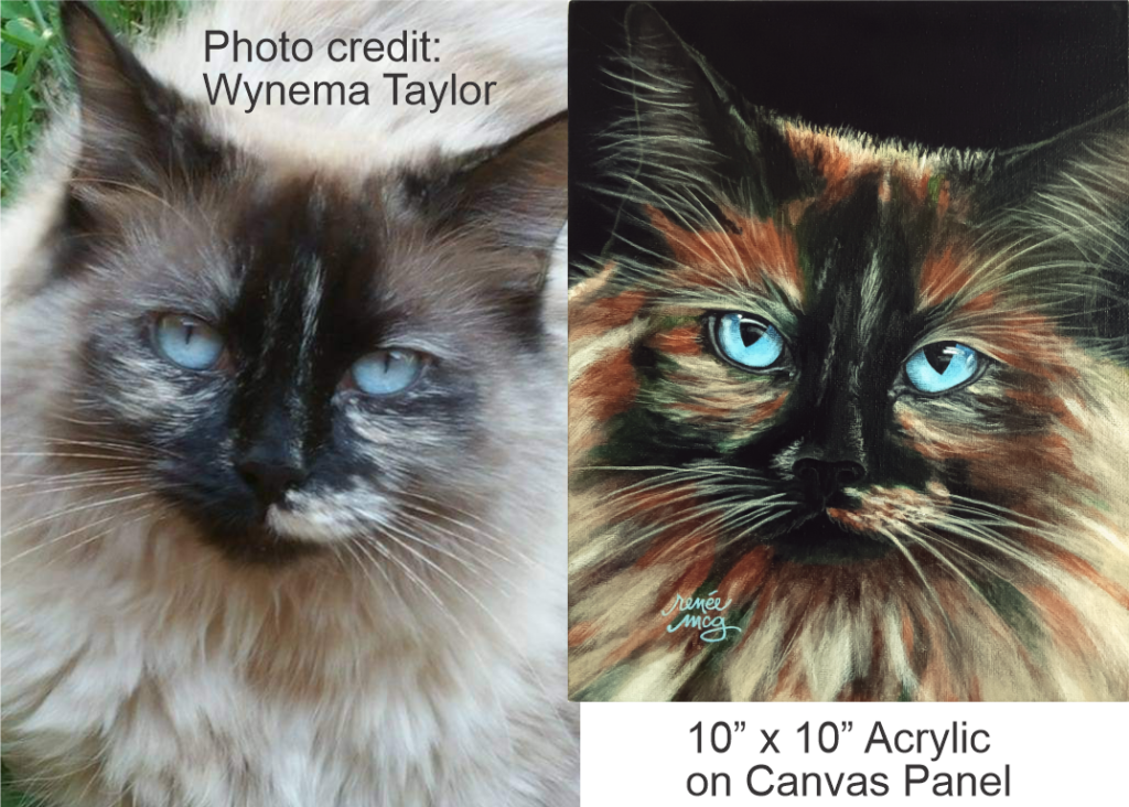 Crazy Cat-Before & After