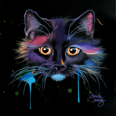 Colorful Cat