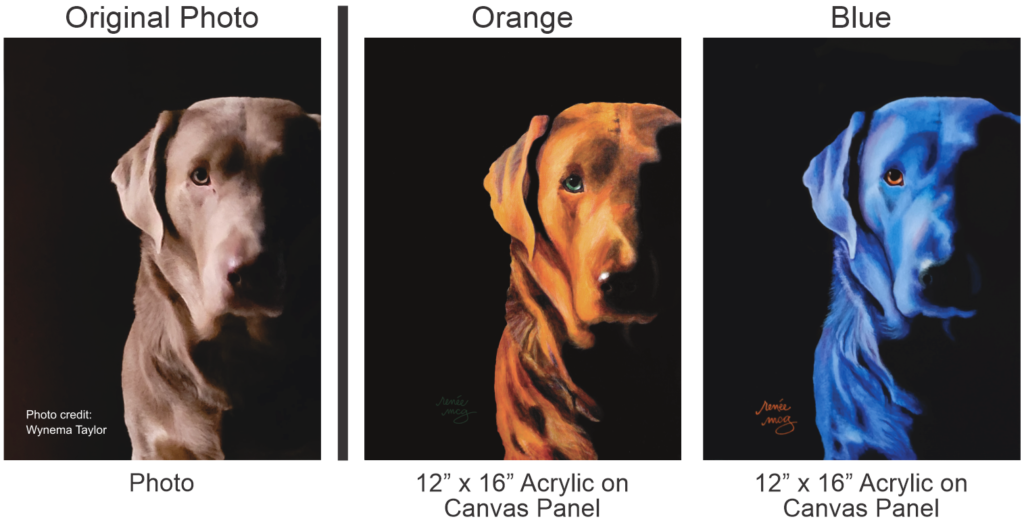 Taylor Dog-Before & After